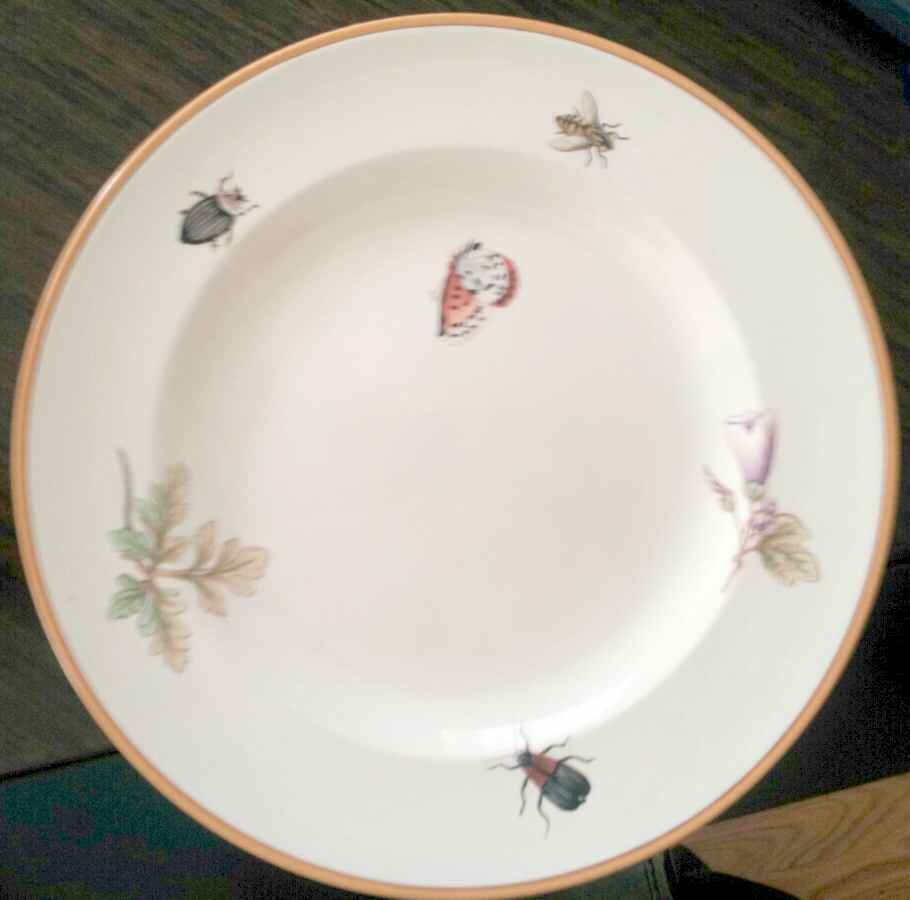 WW582 Dinner Plate by Wedgwood-1