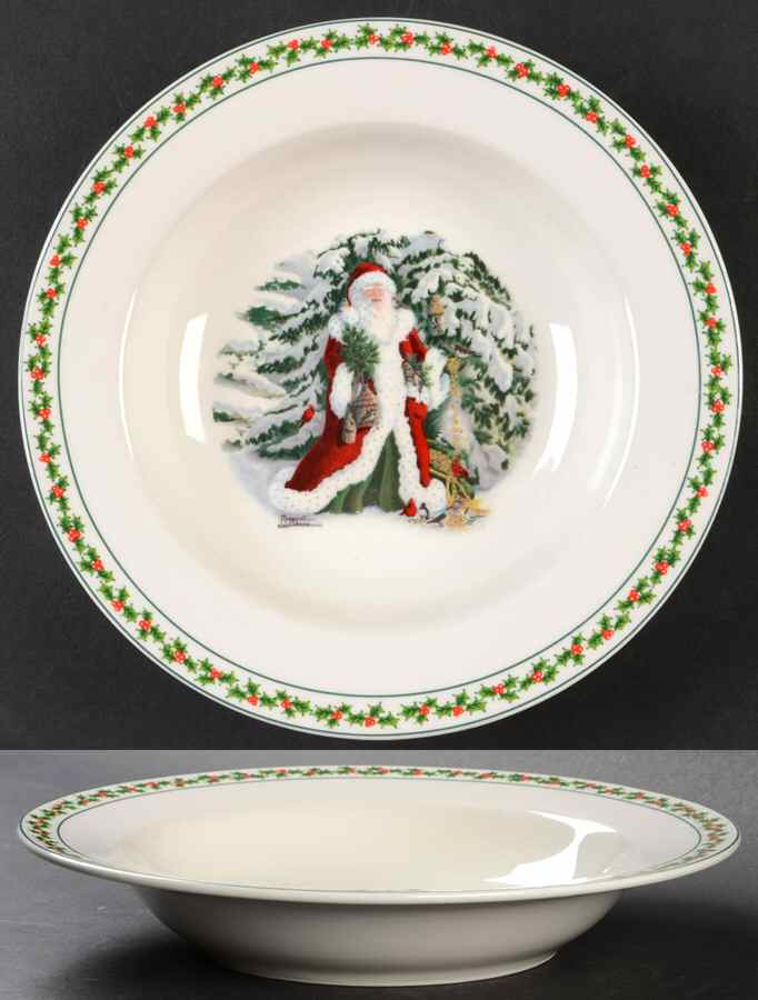 Father Christmas Rim Soup Bowl by National Wildlife Federation-1