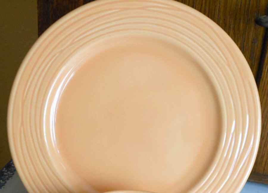 WAE54 Dinner Plate by Waechtersbach-1