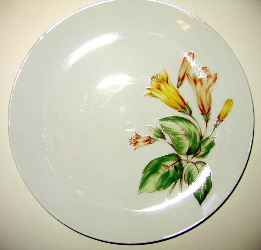 WIG767 Dinner Plate by Winterling - Bavaria-1