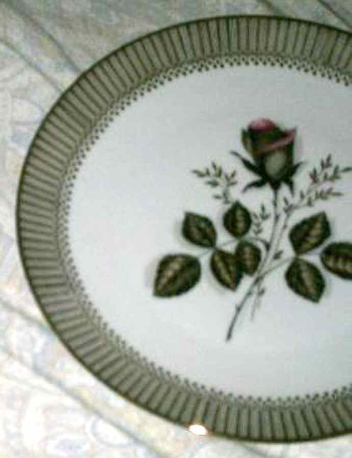 WIG1255 Dinner Plate by Winterling - Bavaria-1