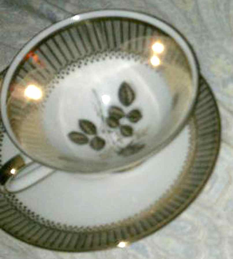 WIG1255 Footed Cup & Saucer Set by Winterling - Bavaria-1
