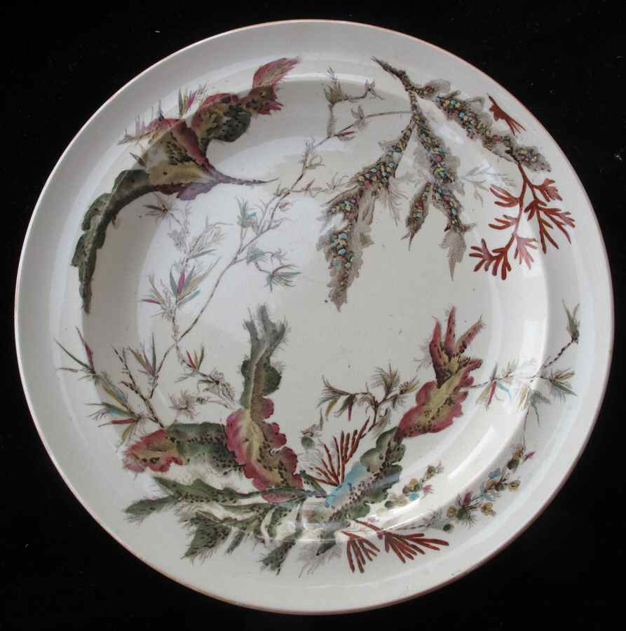 A2343 Dinner Plate by Wedgwood-1