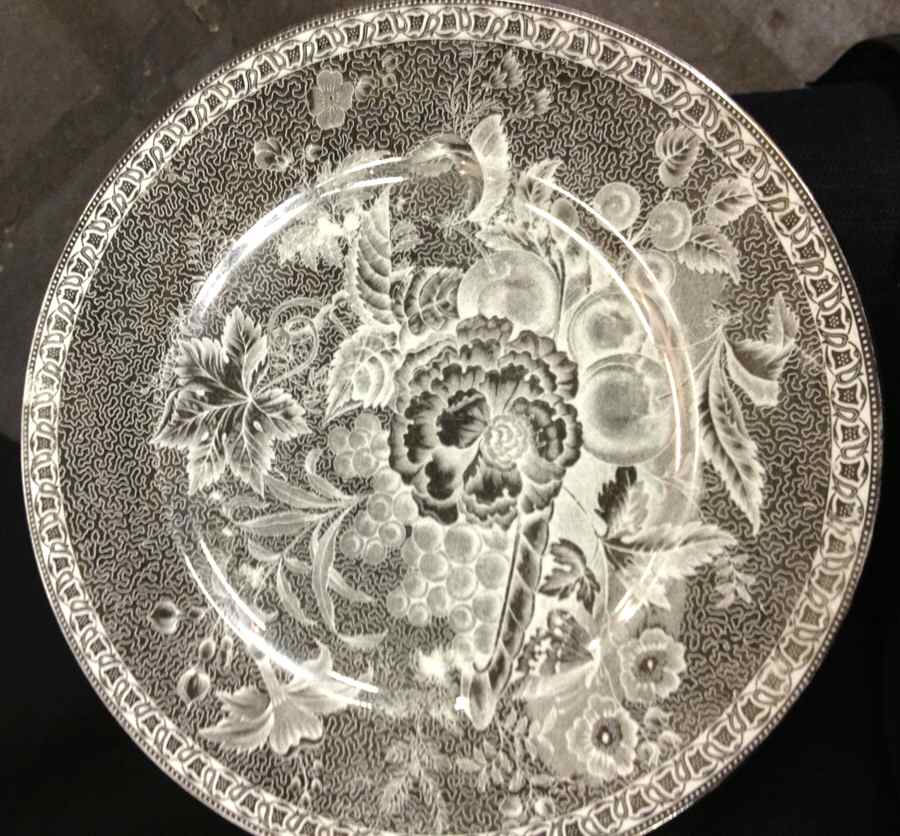 CM5628 Dinner Plate by Wedgwood-1