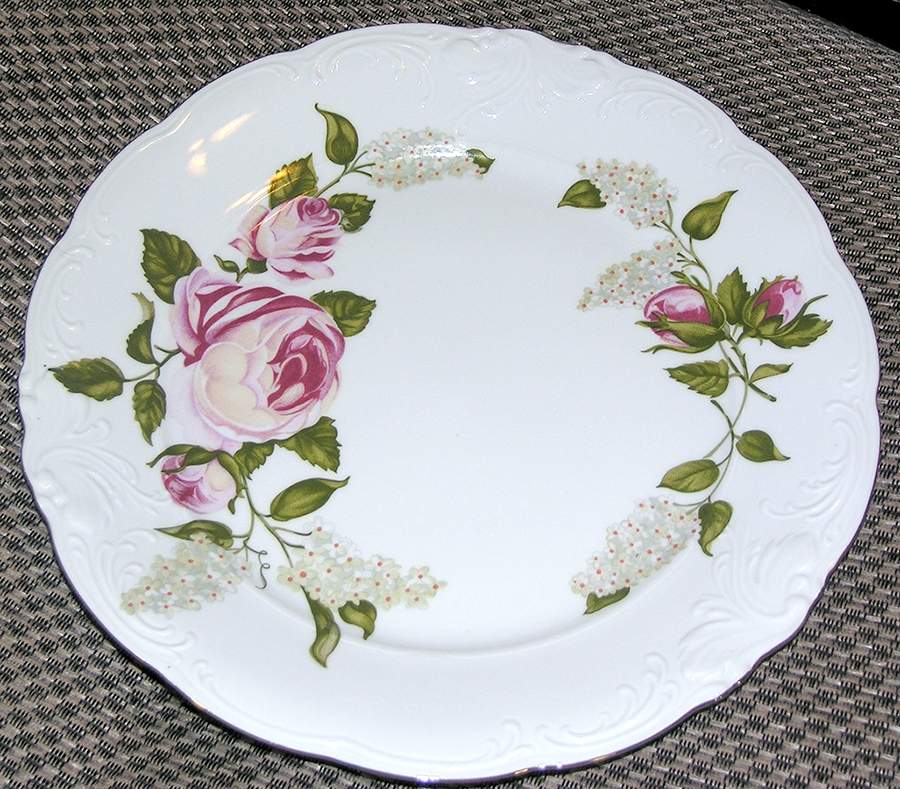 WAV91 Dinner Plate by Wawel-1