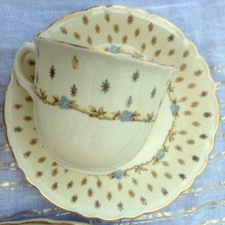 WIL47 Flat Cup & Saucer Set by Arthur J Wilkinson-1