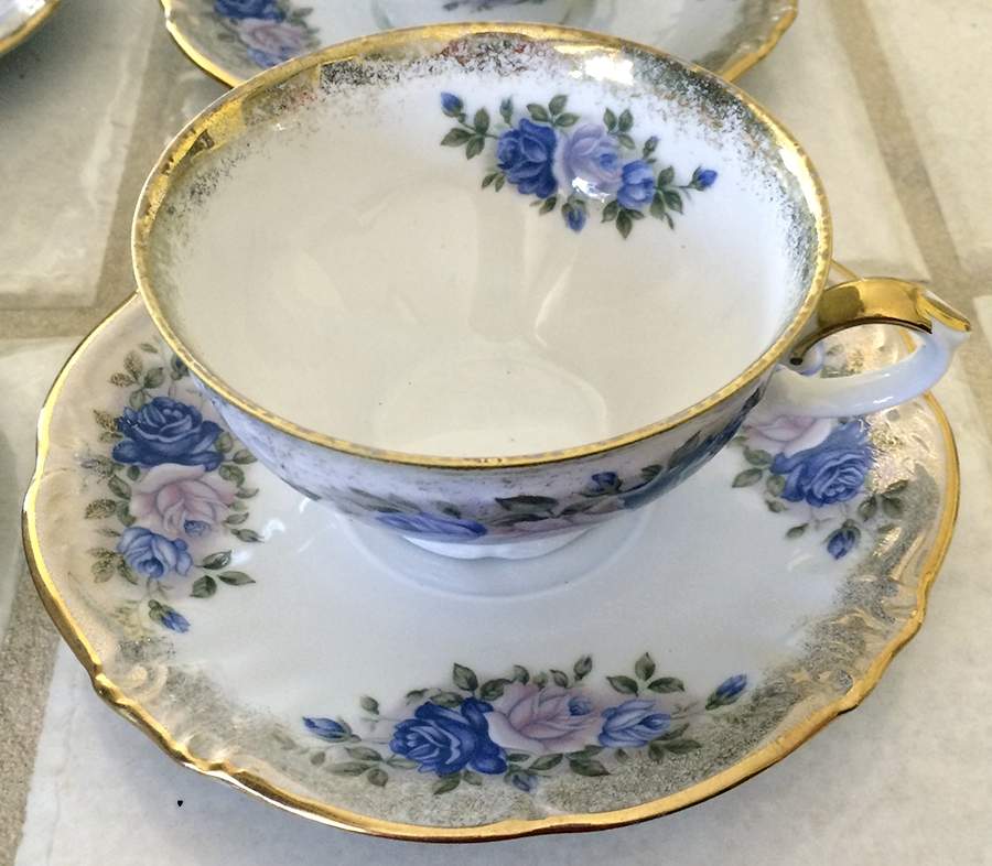 WIG1296 Footed Cup & Saucer Set by Winterling - Bavaria-1