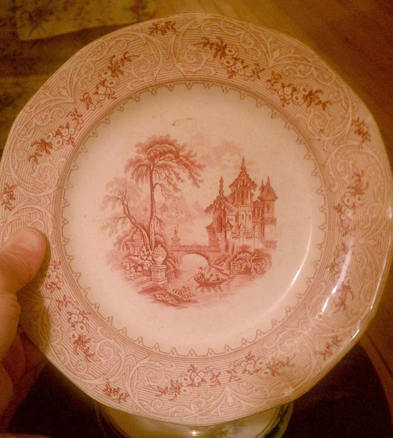 Geneva Dinner Plate by Wedgwood-1