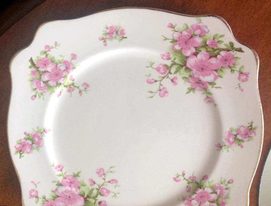 355 Dinner Plate by Arthur J Wilkinson-1