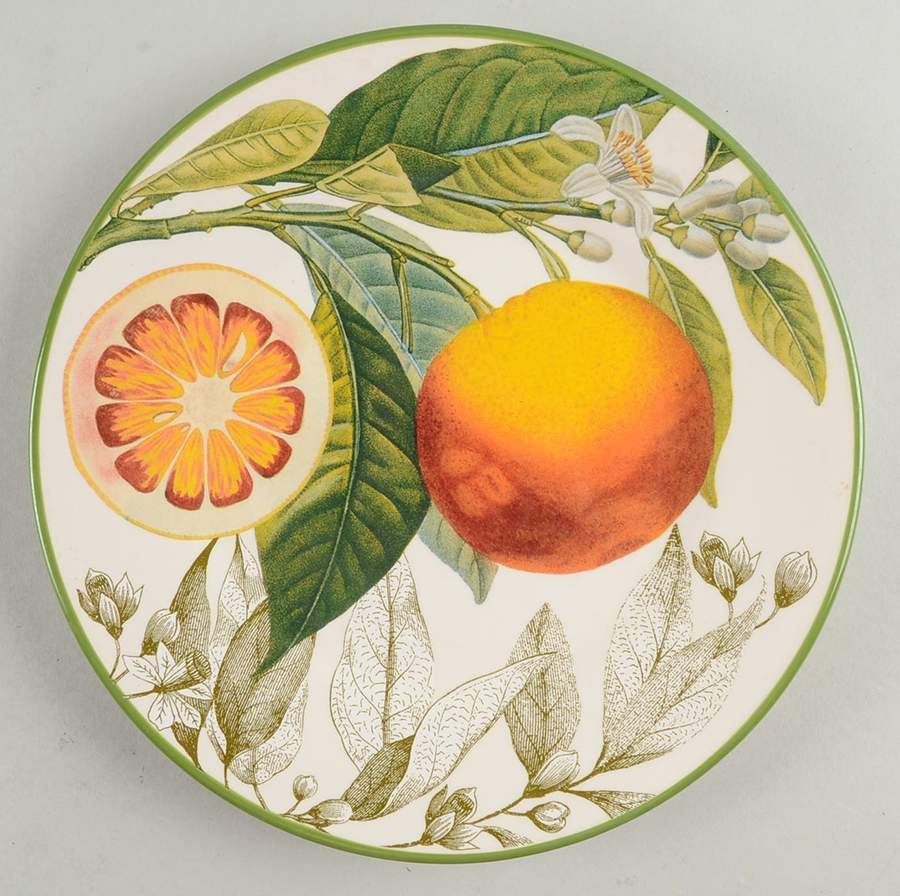 Botanical Citrus Salad Plate by Williams-Sonoma-1