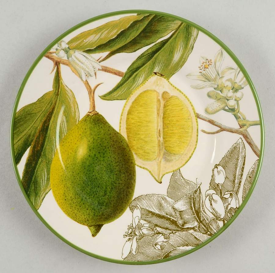 Botanical Citrus Salad Plate by Williams-Sonoma-1