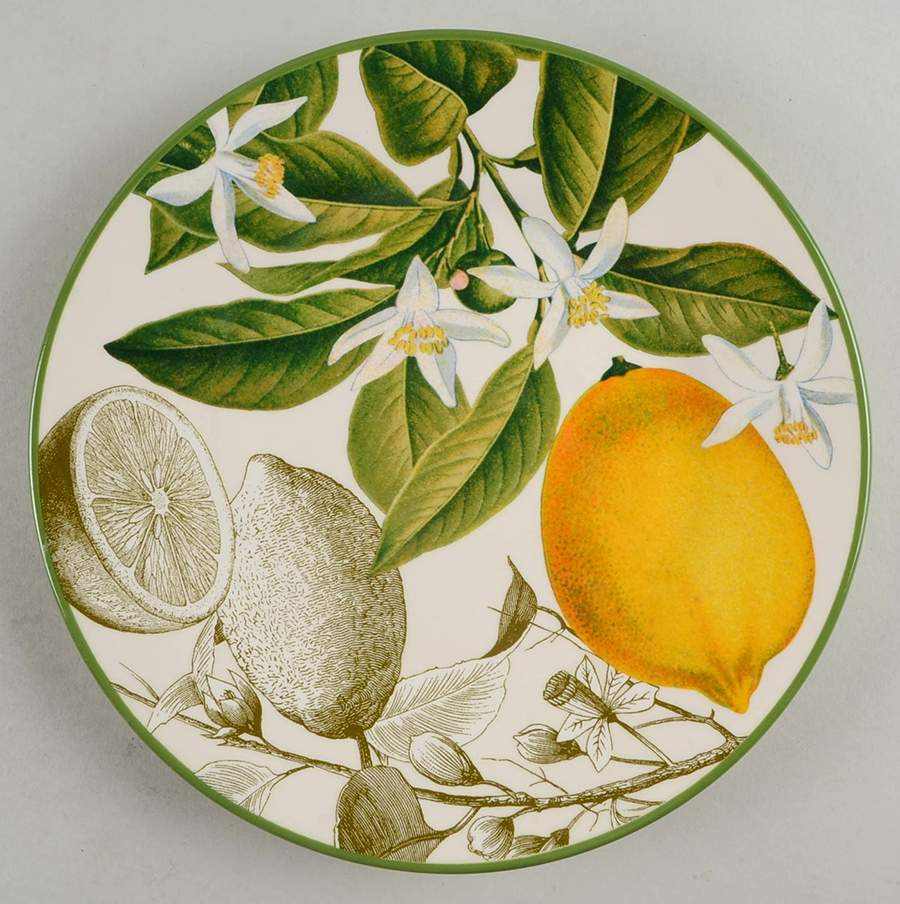 Botanical Citrus Salad Plate by Williams-Sonoma-1