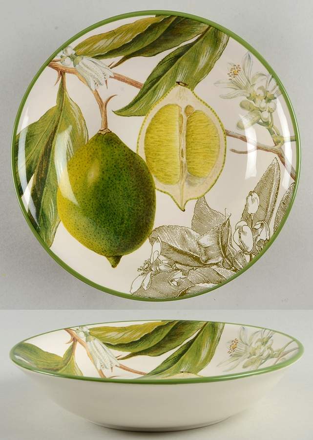 Botanical Citrus Soup/Cereal Bowl by Williams-Sonoma-1