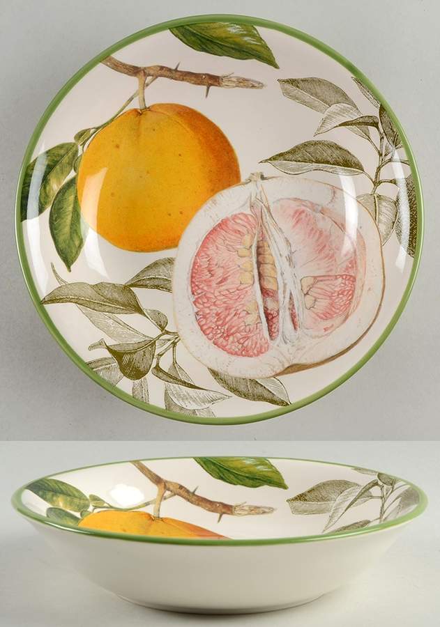 Botanical Citrus Soup/Cereal Bowl by Williams-Sonoma-1