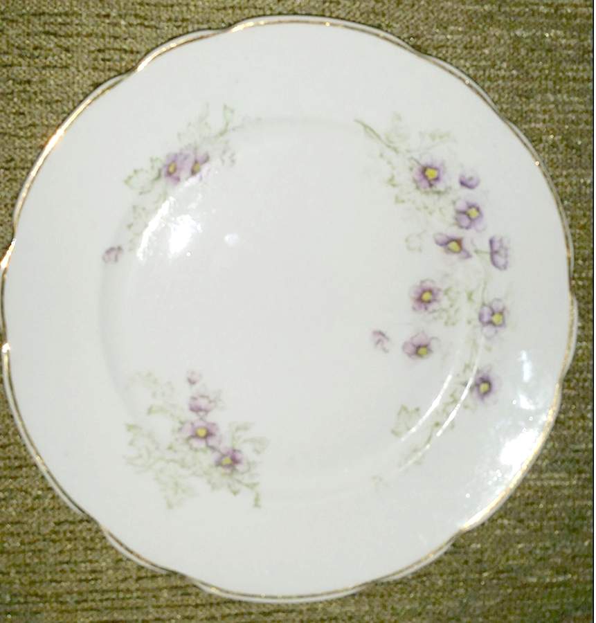 T195 Dinner Plate by Warwick-1
