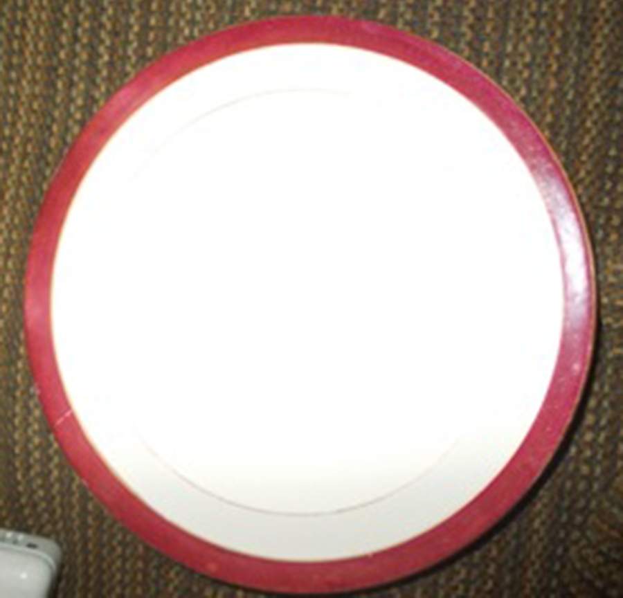 WW2851 Dinner Plate by Wedgwood-1