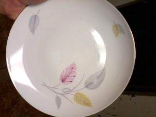 WIG1336 Dinner Plate by Winterling - Bavaria-1