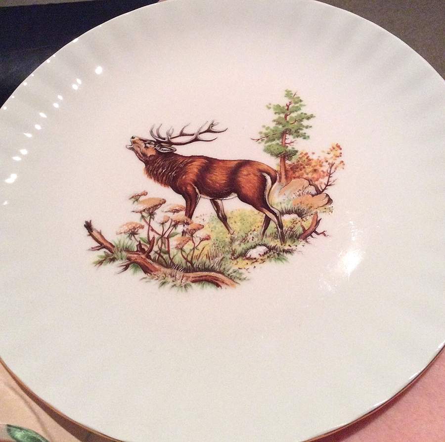 RXH49 Dinner Plate by Retsch & Co-1