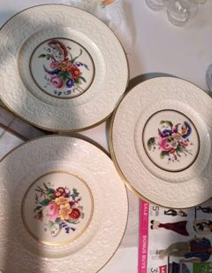 3976 Dinner Plate by Wedgwood-1