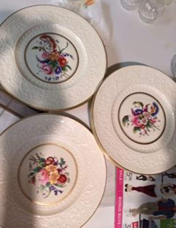 3976 Dinner Plate by Wedgwood-1