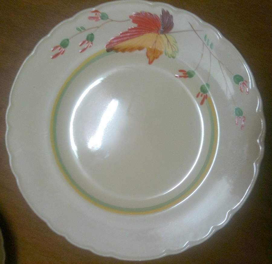 WIL57 Dinner Plate by Arthur J Wilkinson-1