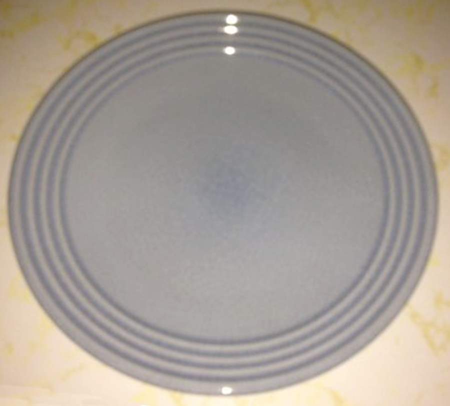 WOM27 Dinner Plate by World Market-1