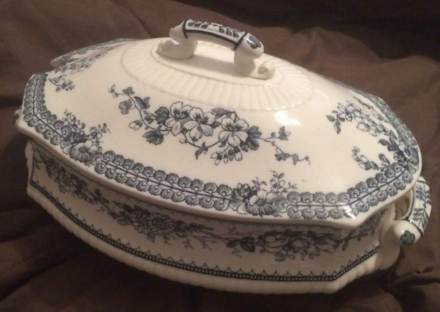 Maidenhair (Blue) Tureen &  Lid by Wedgwood-1