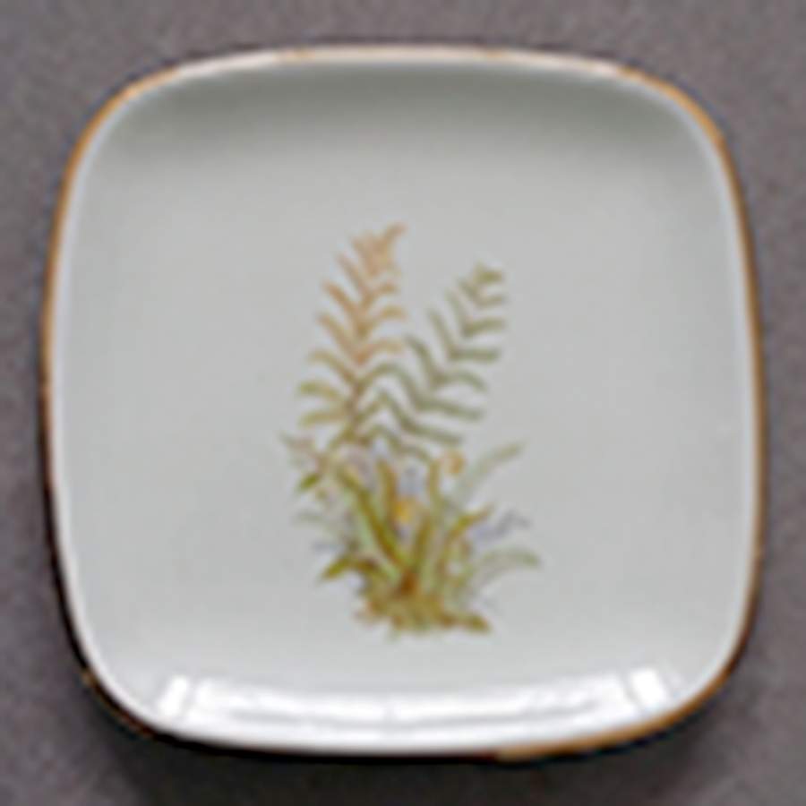 Farn (Fern) Dinner Plate by Waechtersbach-1