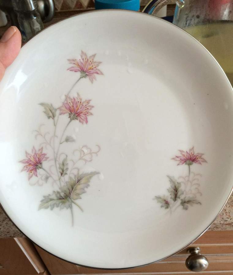 WDF3 Dinner Plate by Waldorf-1