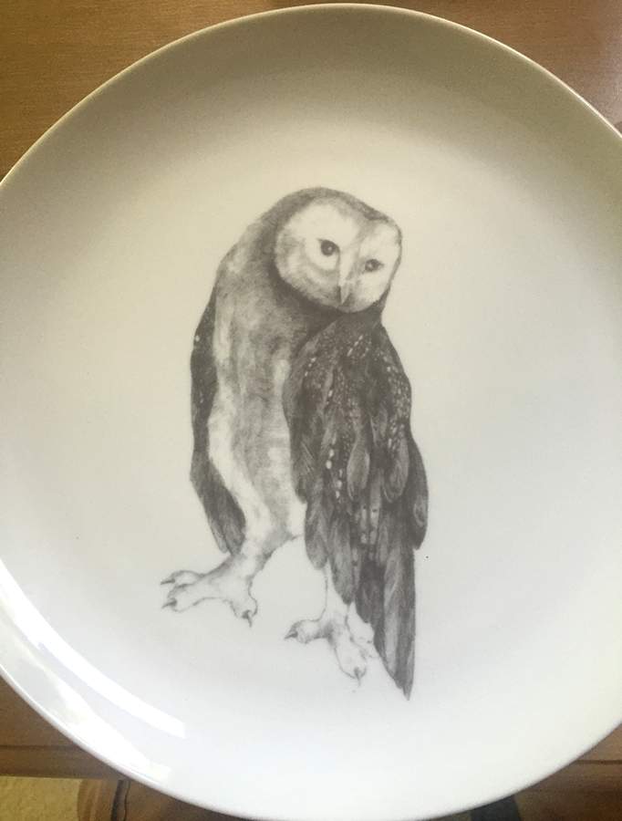 Winter Solstice Animal Dessert/Pie Plate by West Elm-1