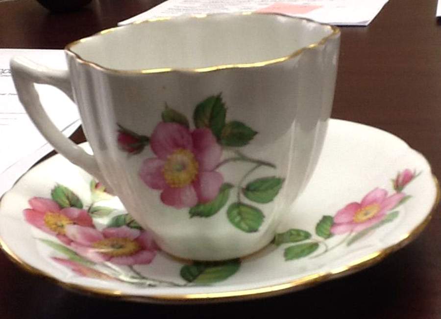 Alberta Wild Rose Flat Cup & Saucer Set by Windsor (England)-1