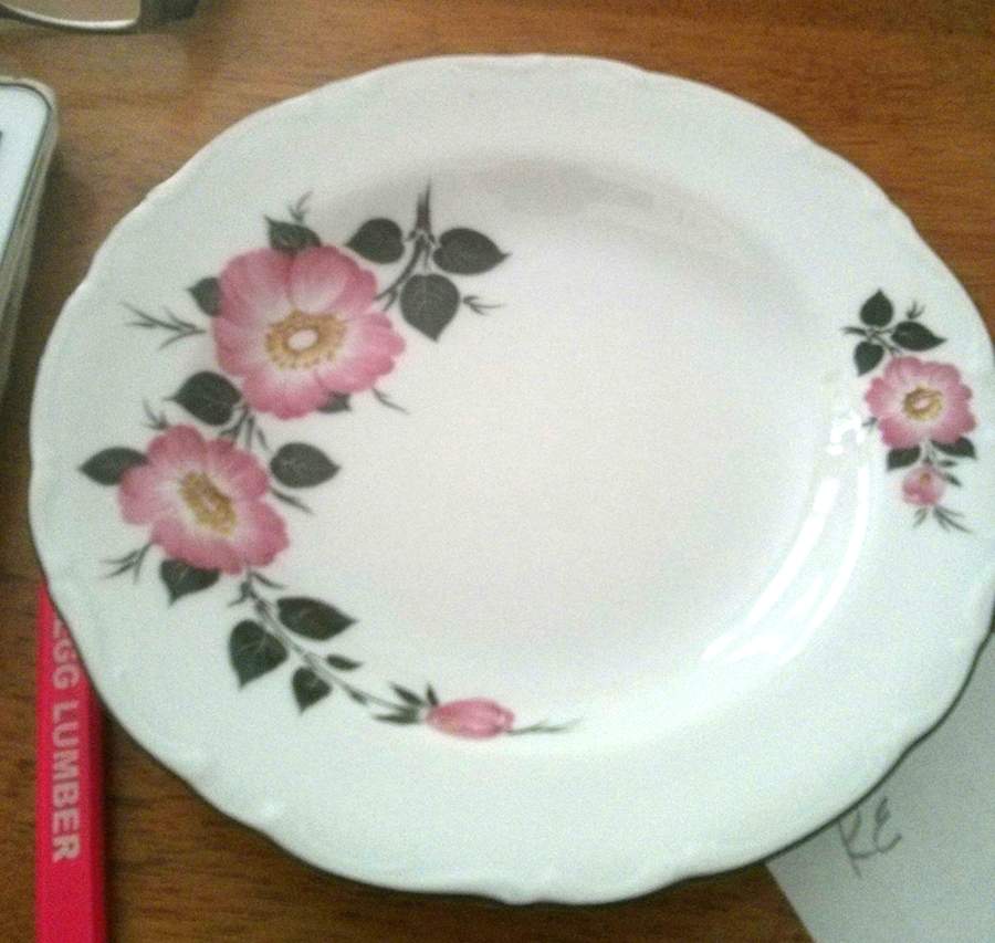 WIG1407 Dinner Plate by Winterling - Bavaria-1