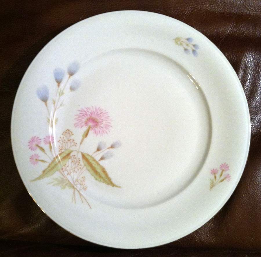 WIG1416 Dinner Plate by Winterling - Bavaria-1