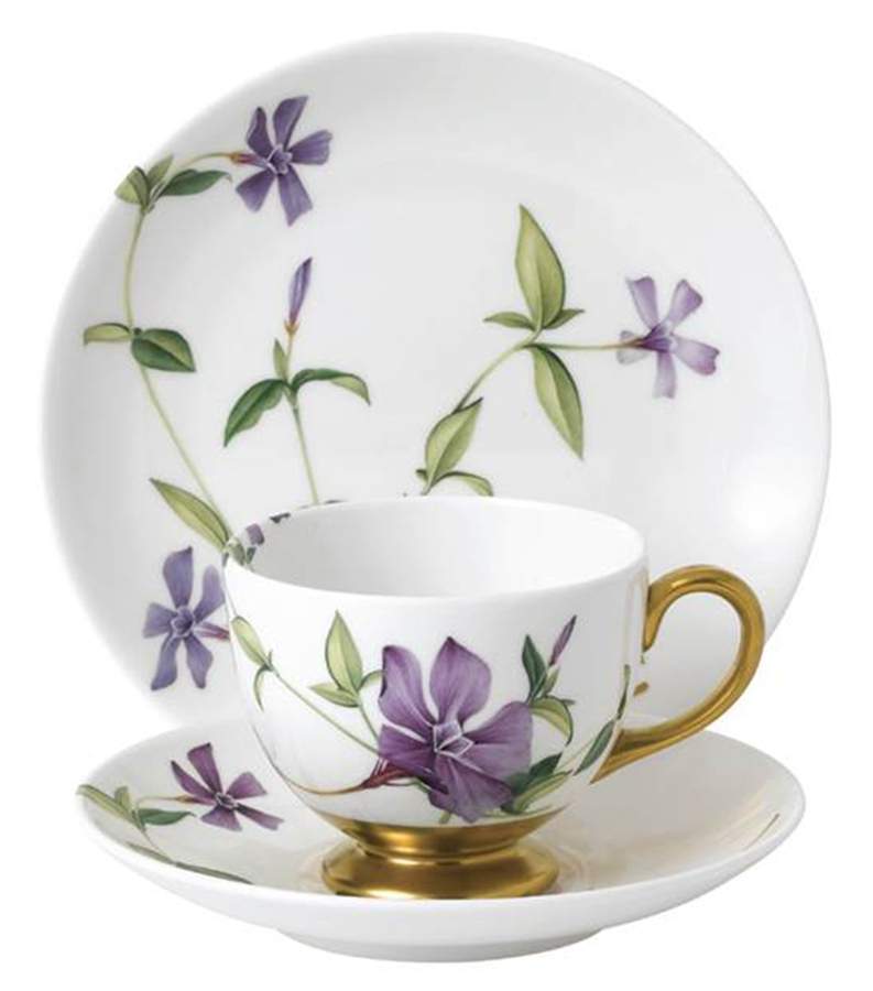 Floral Eden Footed Cup & Saucer Set by Wedgwood-1