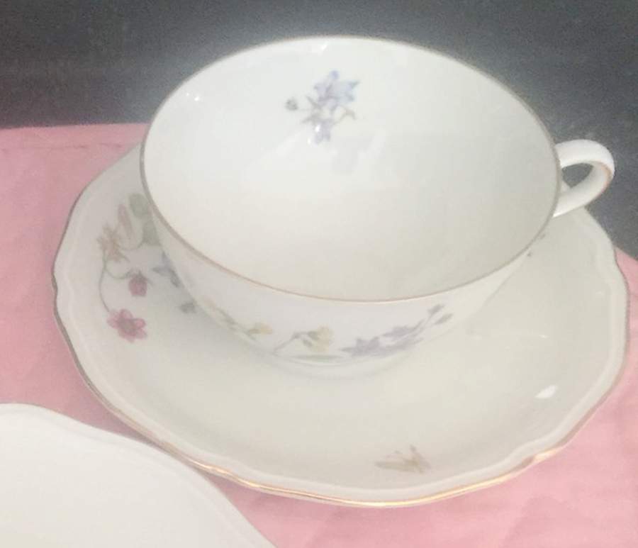 WIG1453 Footed Cup & Saucer Set by Winterling - Bavaria-1