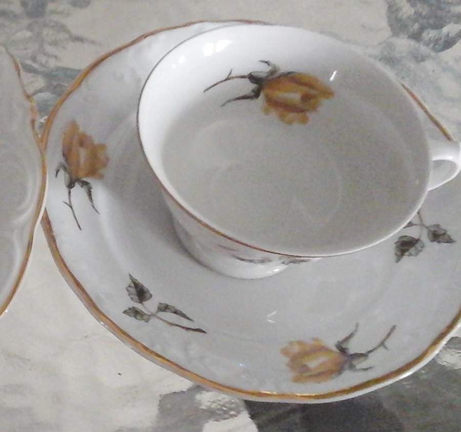 WLB121 Footed Cup & Saucer Set by Walbrzych-1