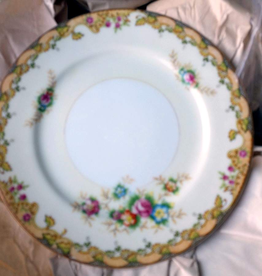 WIJ3 Dinner Plate by Winner (Japan)-1