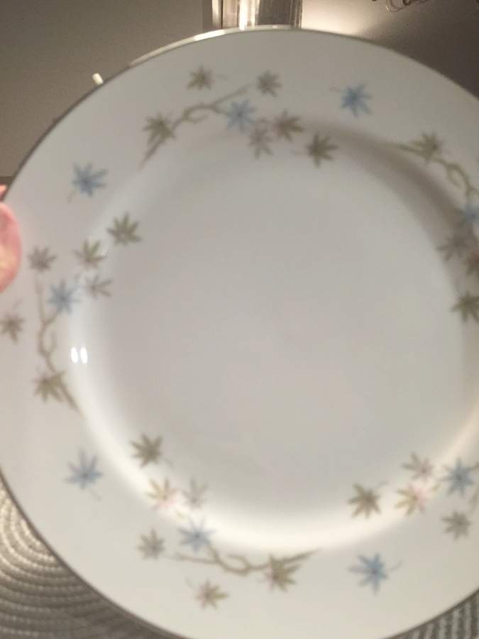WDF4 Dinner Plate by Waldorf-1