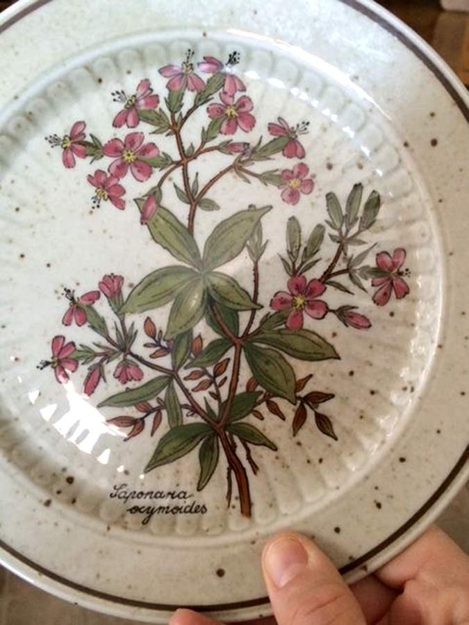 WIG1461 Salad Plate by Winterling - Bavaria-1