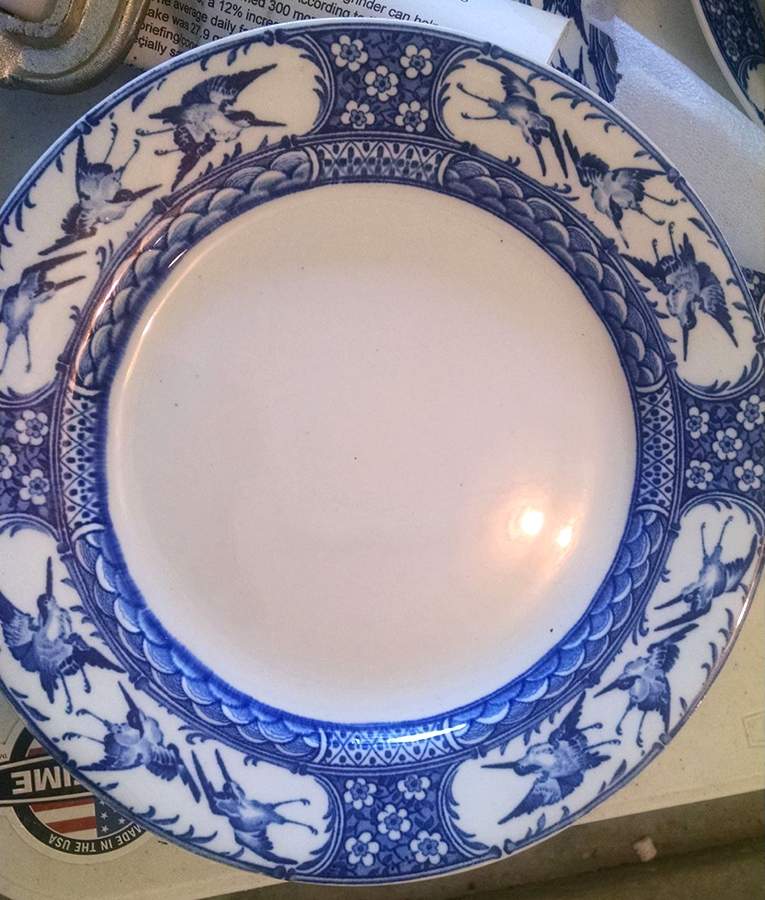 Kioto Dinner Plate by Wedgwood-1
