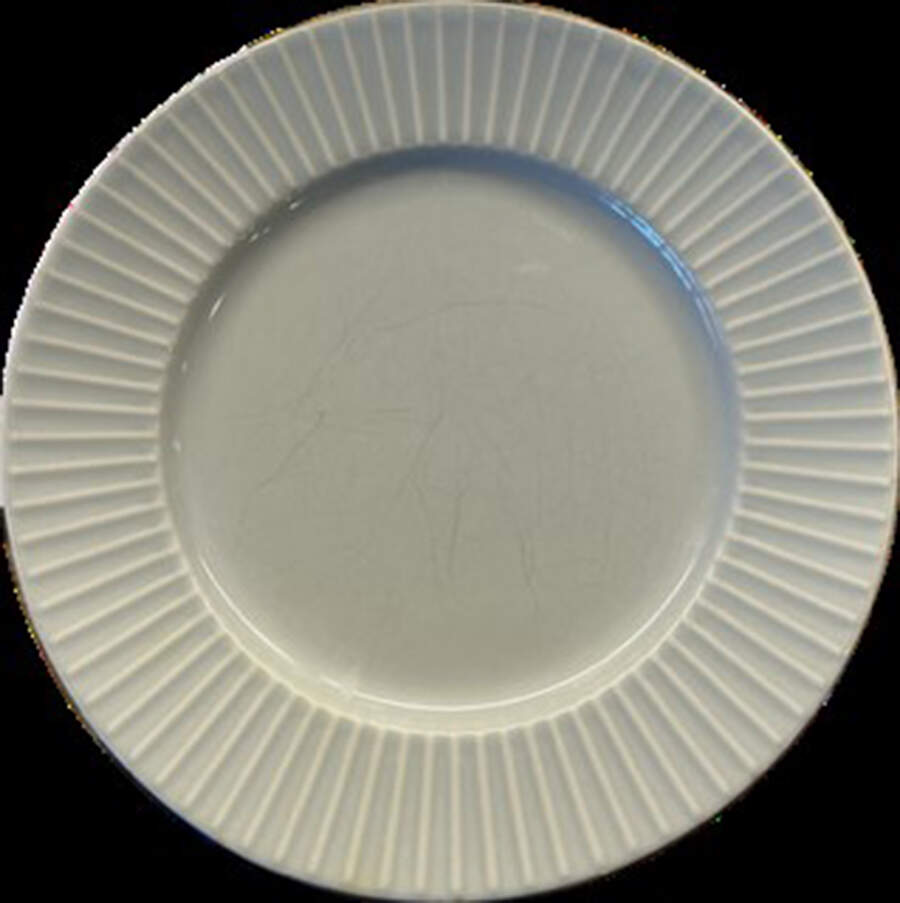Textured Cloud (Light Gray) Dinner Plate by West Elm-1