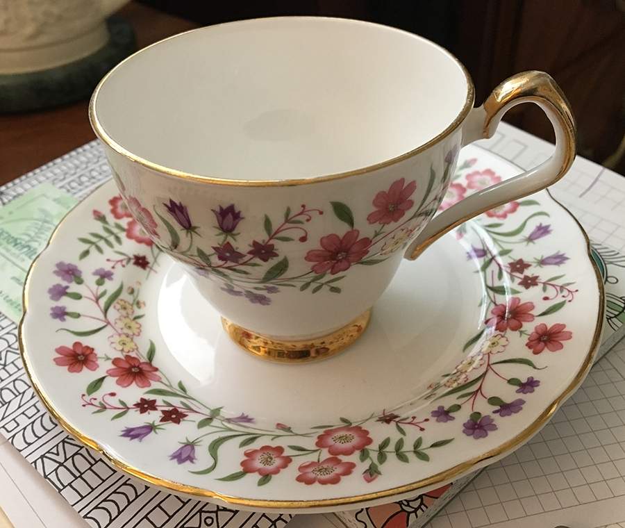 Spring Meadow Footed Cup & Saucer Set by Windsor (England)-1