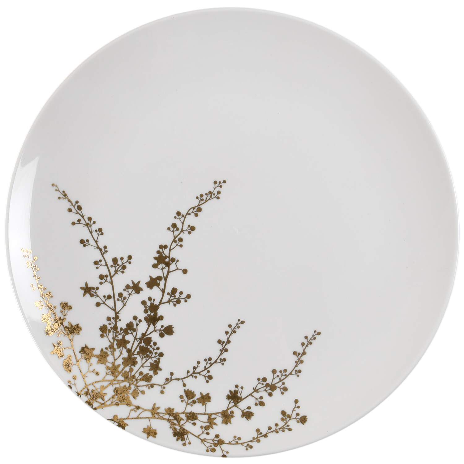 Vera Jardin Dinner Plate by Wedgwood-1