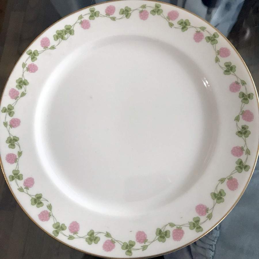 WAR245 Dinner Plate by Warwick-1