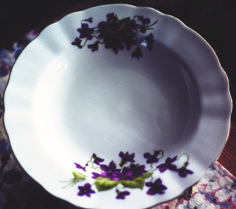 Violet Bouquet (Platinum Trim) Dinner Plate by Winterling - Bavaria-1