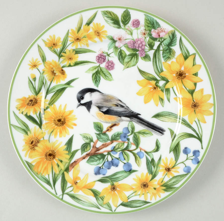 WFE16 Salad Plate by National Wildlife Federation-1