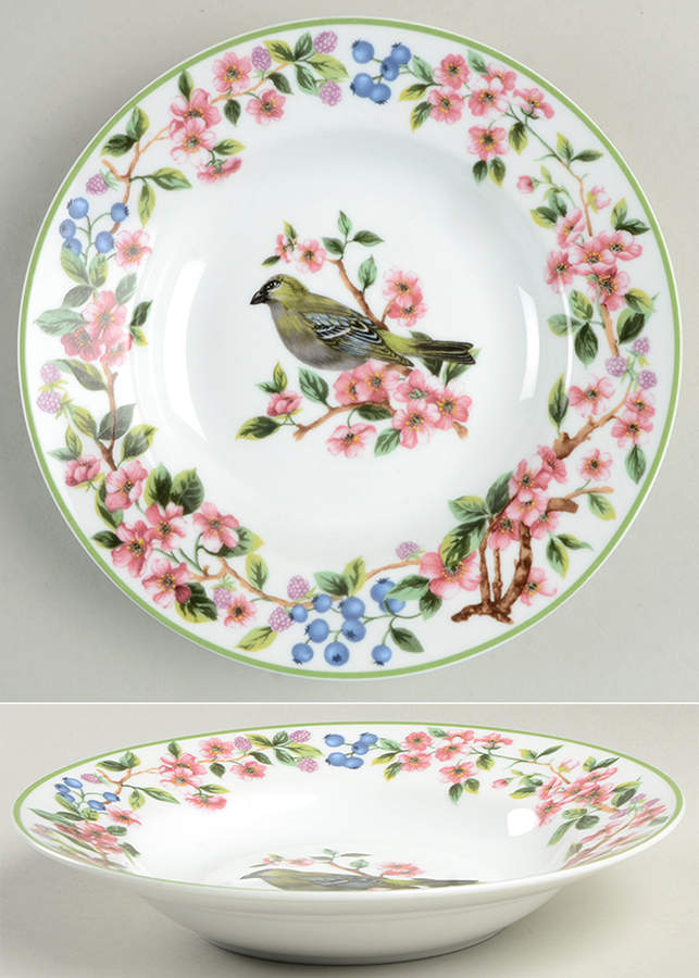 WFE16 Rim Soup Bowl by National Wildlife Federation-1