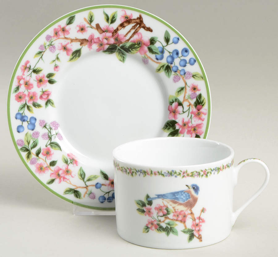 WFE16 Flat Cup & Saucer Set by National Wildlife Federation-1