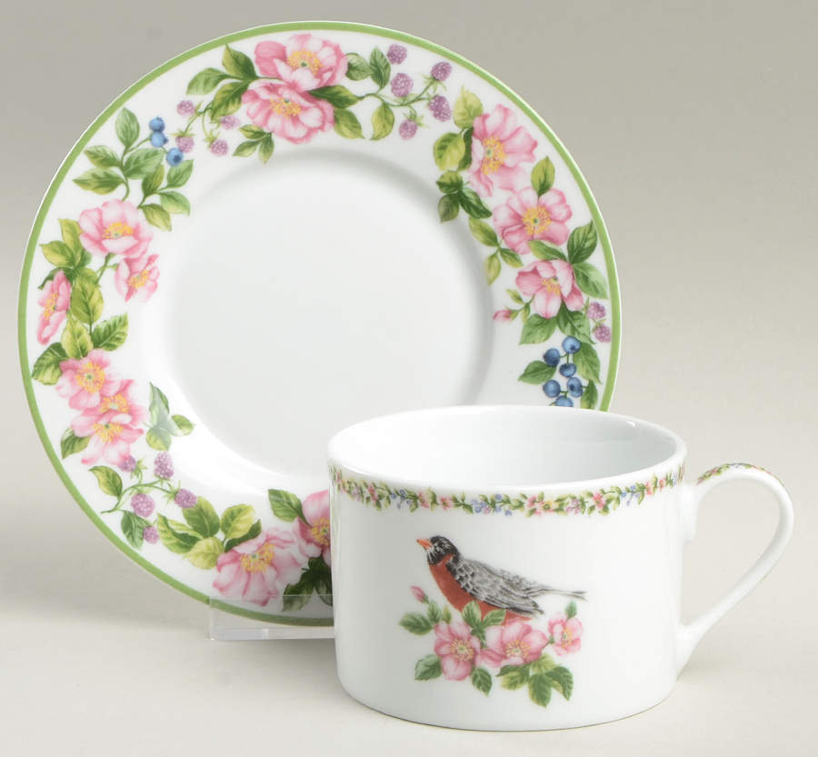 WFE16 Flat Cup & Saucer Set by National Wildlife Federation-1