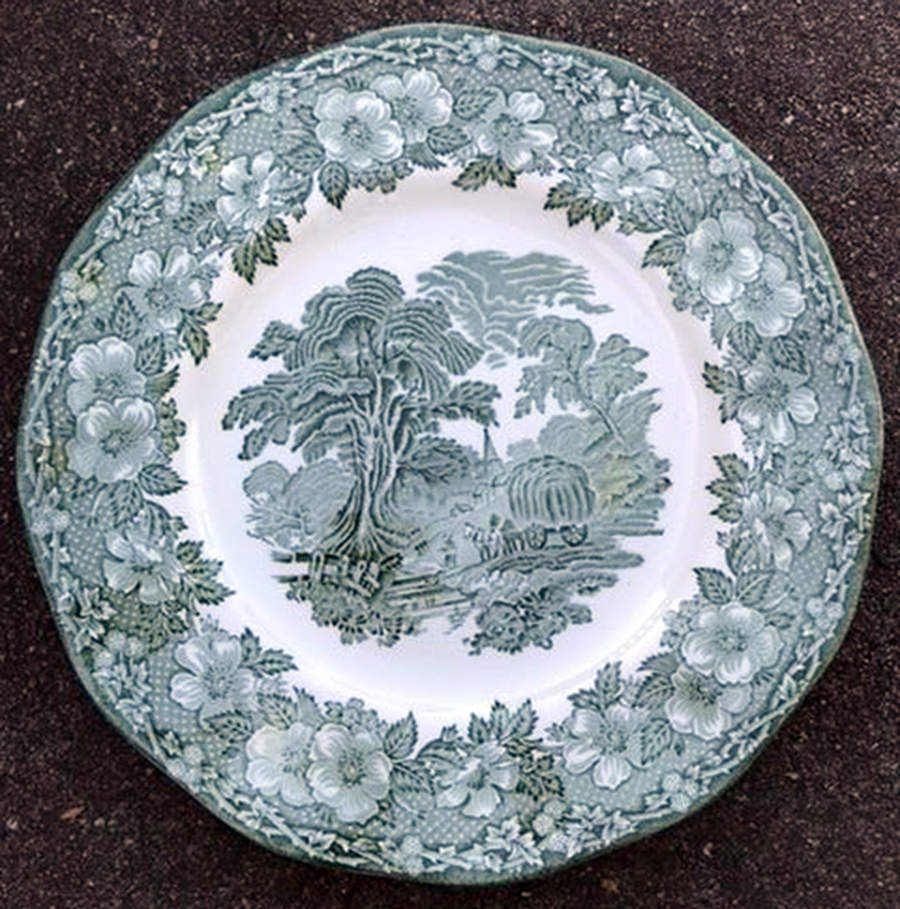 Woodland Green Dinner Plate by Wedgwood-1